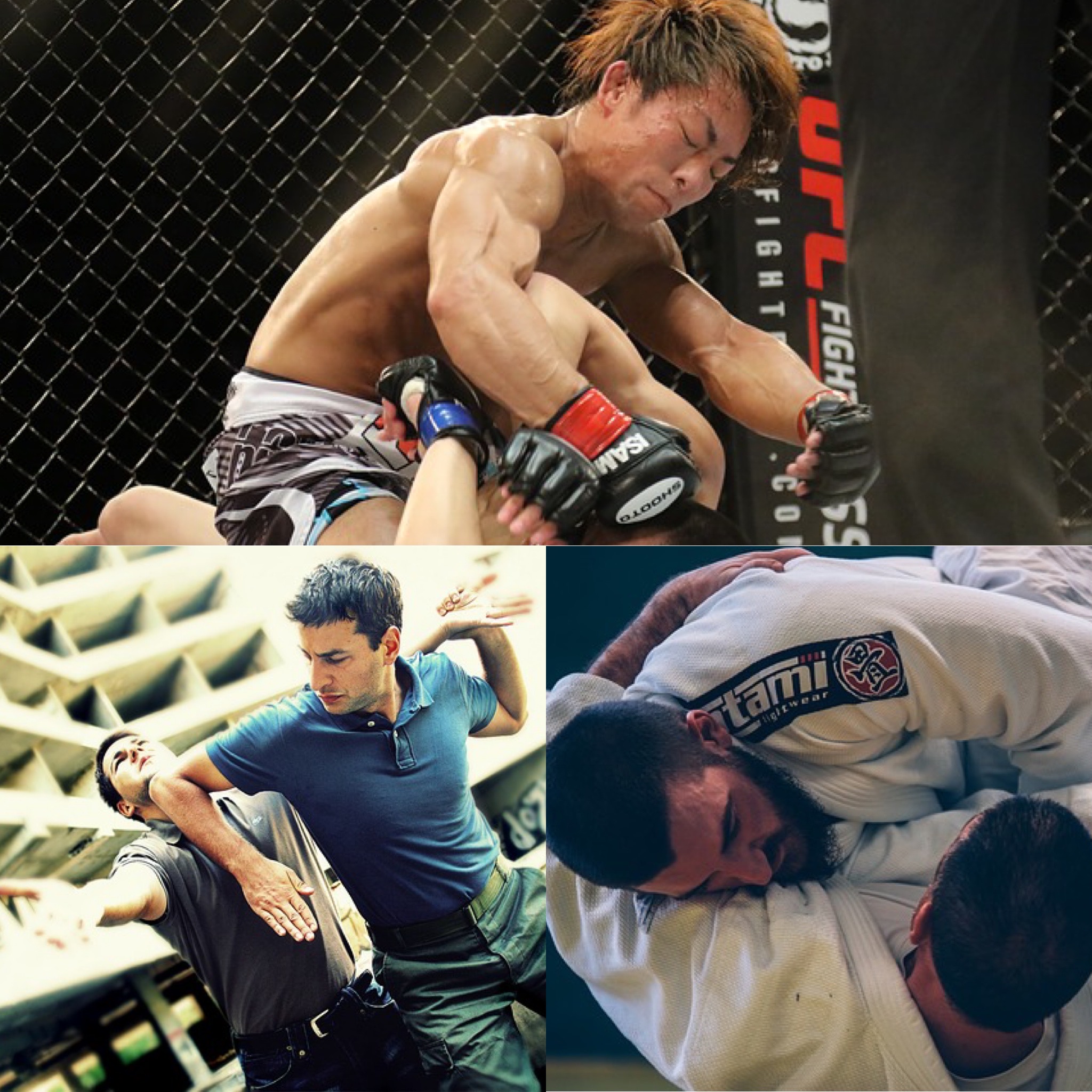 Quel est le sport de combat le plus efficace ?