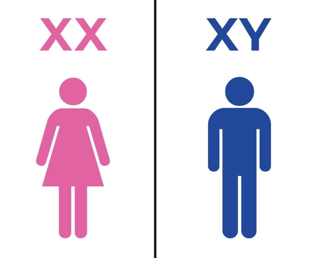 Qu'est ce qu'une femme ?