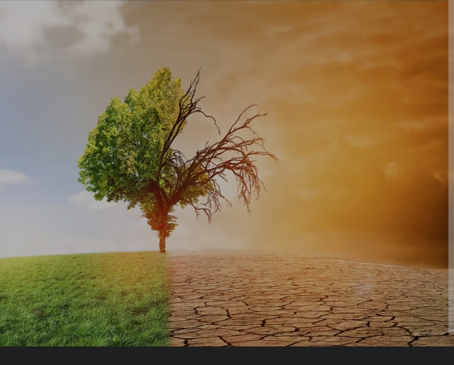 Journée du climat : quelles sont vos gestes quotidiens pour apporter votre pierre à l'édifice ?