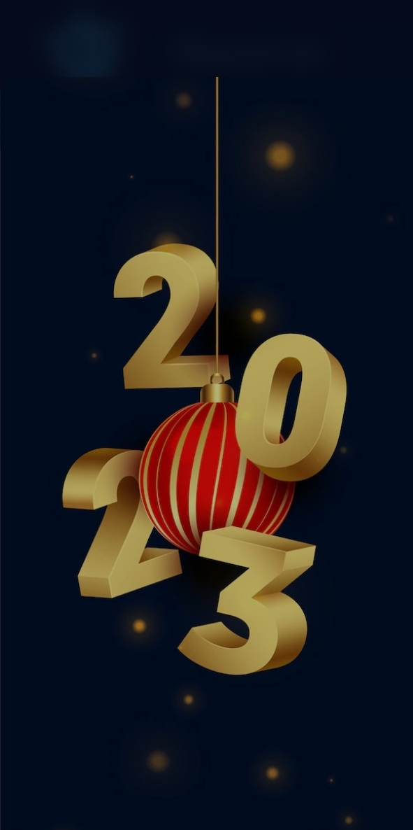Pour le nouvel an le programme c'est :