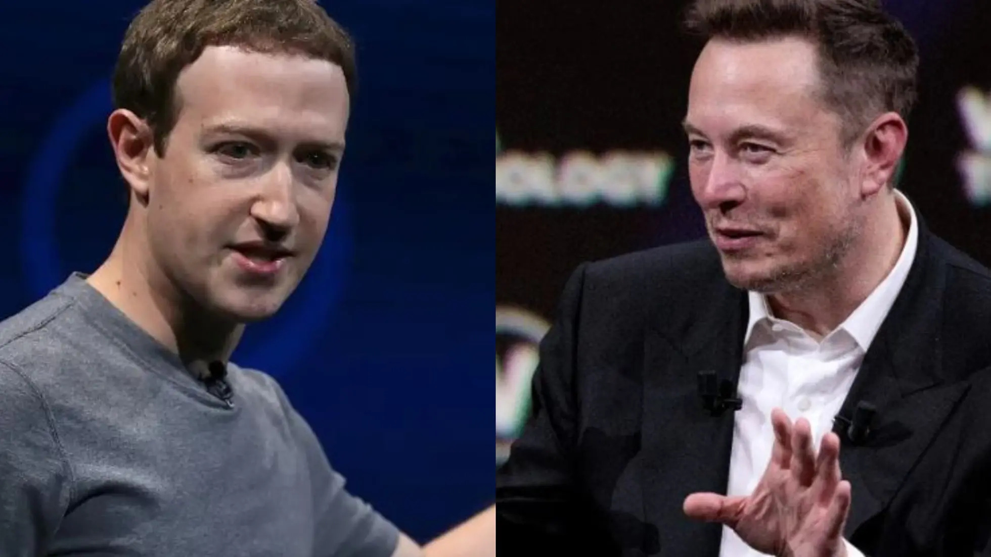 Combat Elon Musk VS Mark Zuckerberg qui va gagner ?