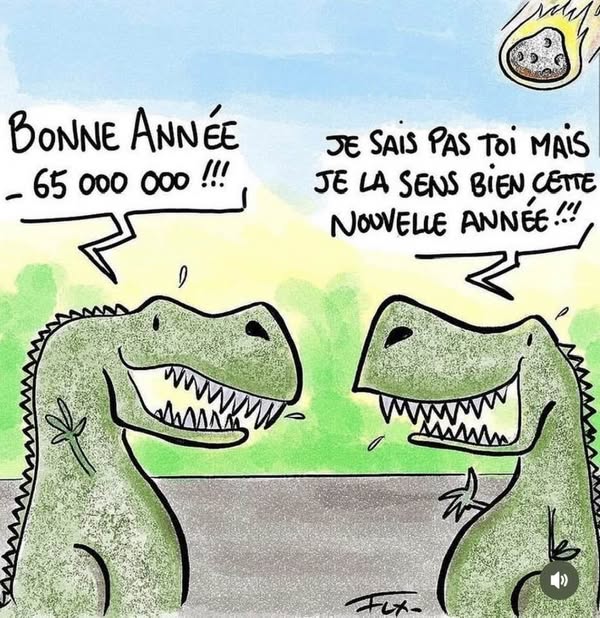 êtes vous optimiste pour cette nouvelle année 2025 ?