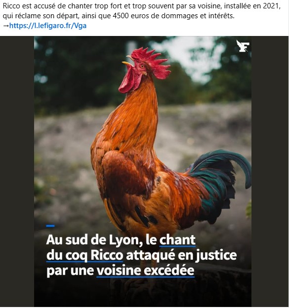 face à cette situation en milieu rural ou les animaux de ferme sont à leur place faut 'il refuser ce type de plainte ?