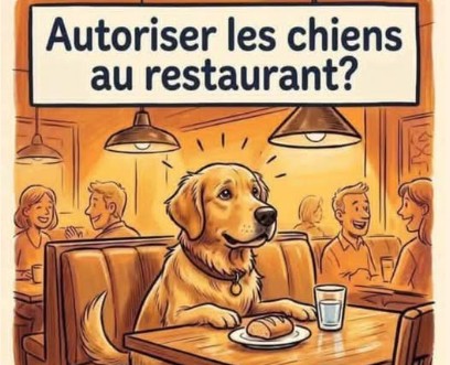 est vous accord pour autoriser les chiens dans les restaurants
